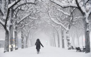 winterstorm